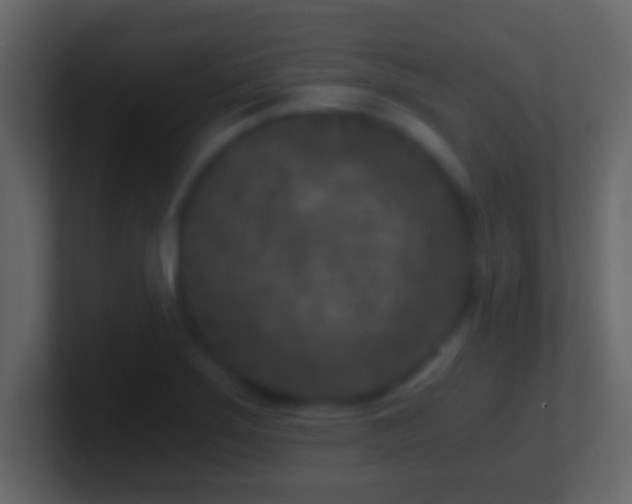 X0000101441275200807071355