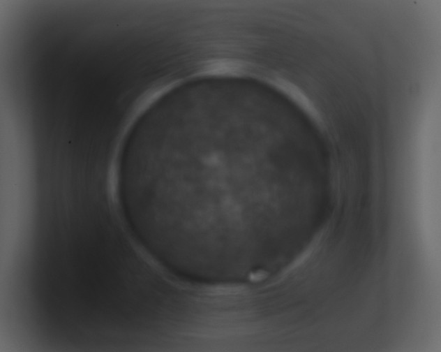 X0000101441277200807071355