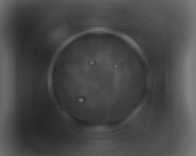 X0000101441279200807071355