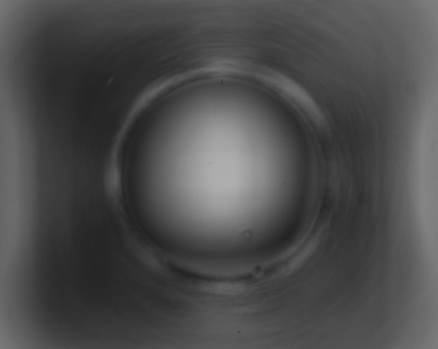 X0000101441280200807071355