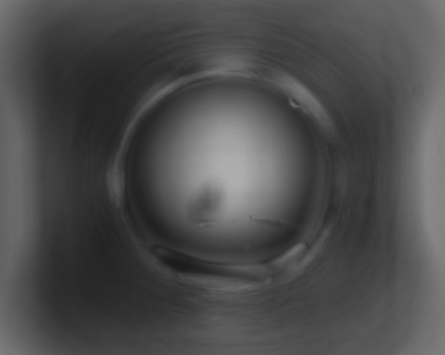 X0000101441284200807071355