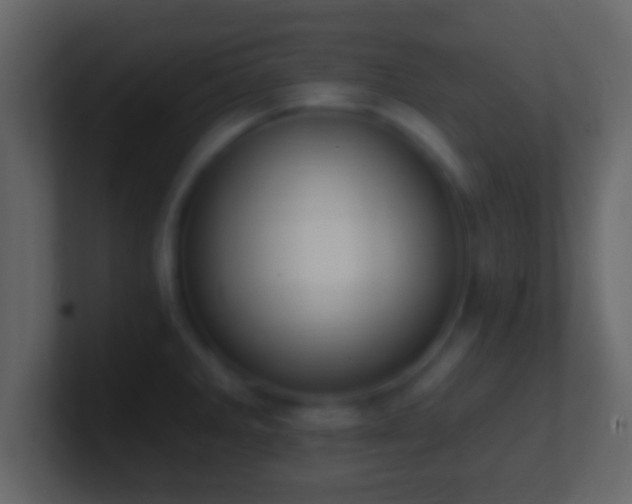 X0000101441285200807071355
