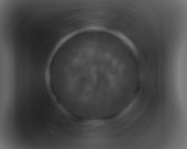 X0000101441287200807071355