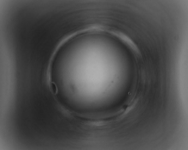 X0000101441288200807071355