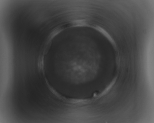 X0000101441289200807071355