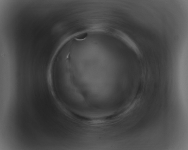 X0000101441291200807071355