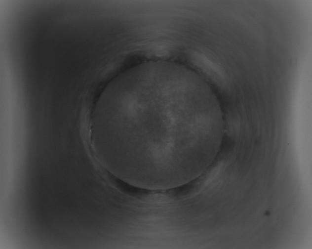 X0000101441297200807071354