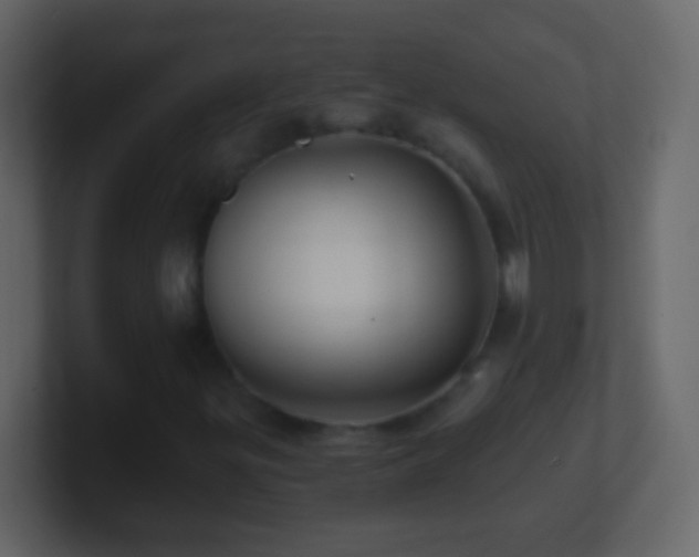 X0000101441299200807071354