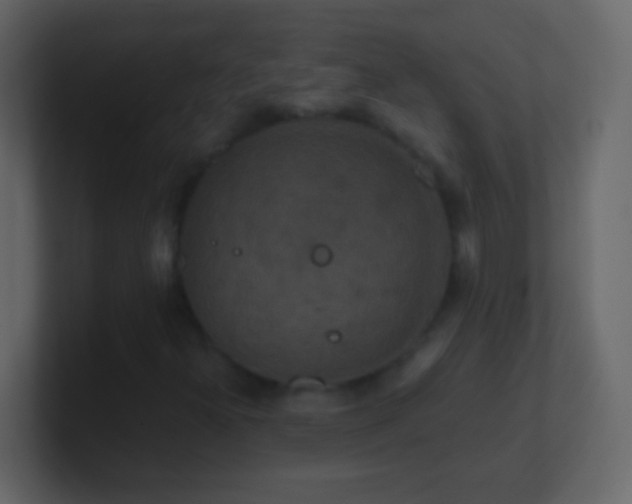 X0000101441300200807071354