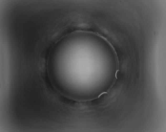 X0000101441301200807071354
