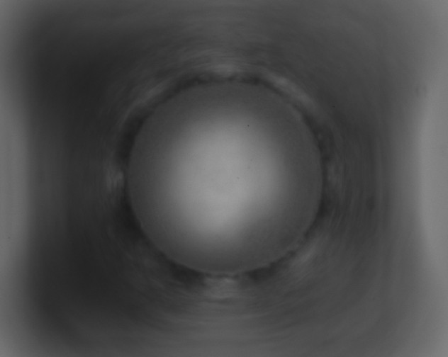 X0000101441302200807071354