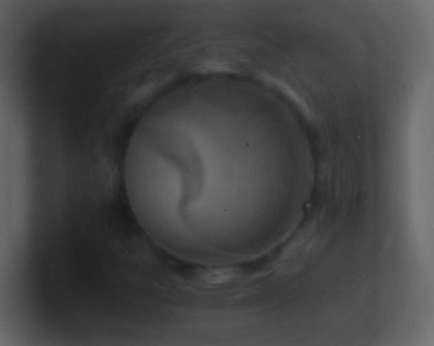 X0000101441303200807071354