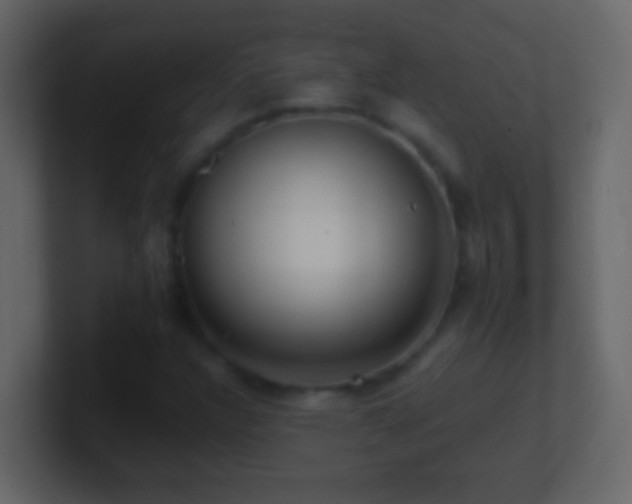 X0000101441304200807071354