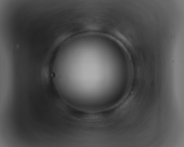 X0000101441307200807071354