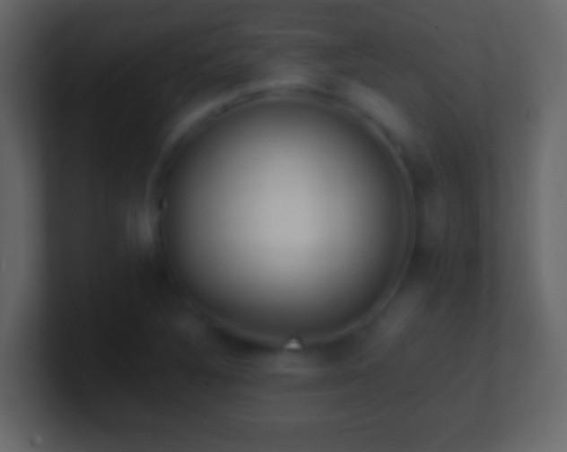 X0000101441316200807071354
