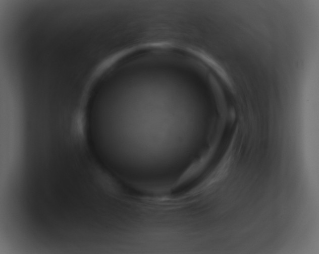 X0000101441319200807071354