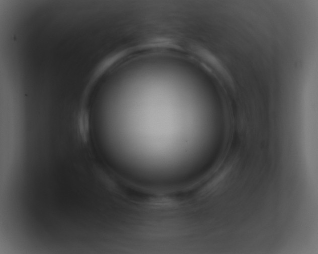 X0000101441320200807071354