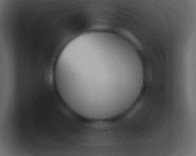 X0000101441322200807071354