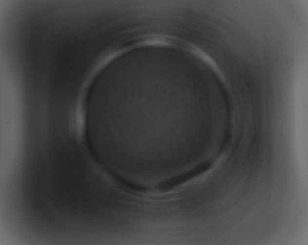 X0000101441323200807071354