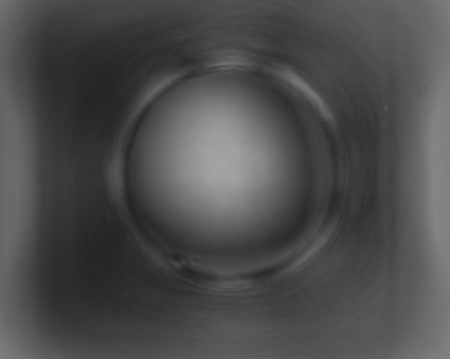 X0000101441325200807071354