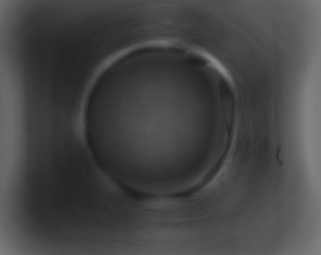 X0000101441327200807071354