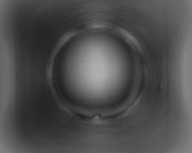 X0000101441330200807071354