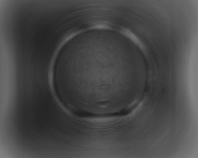 X0000101441331200807071354