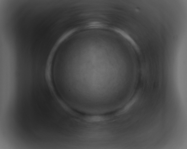 X0000101441333200807071354