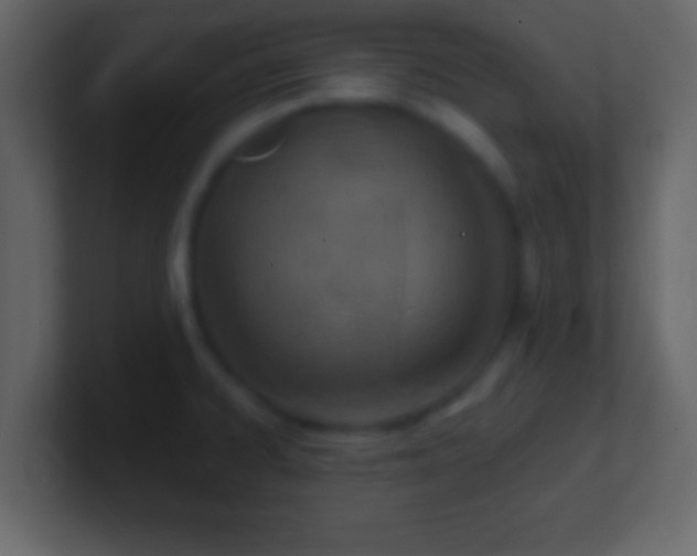 X0000101441334200807071354