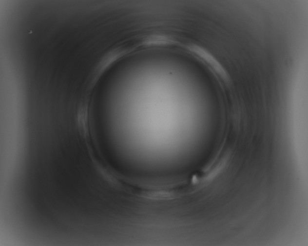 X0000101441337200807071354