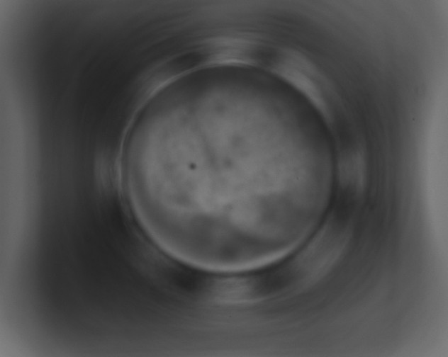 X0000101441338200807071354