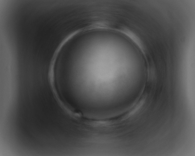 X0000101441341200807071355
