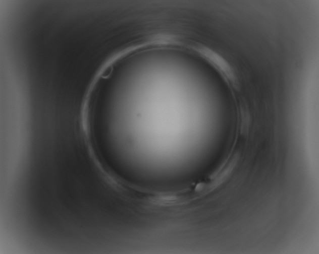 X0000101441342200807071355