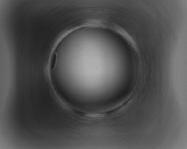 X0000101441344200807071355