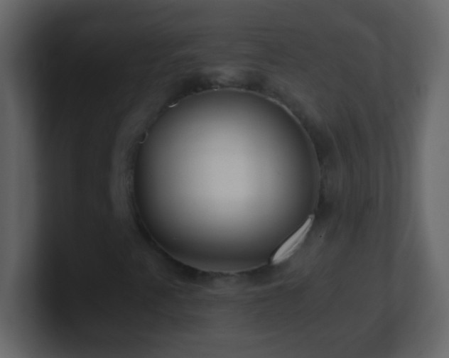 X0000101441345200807071354