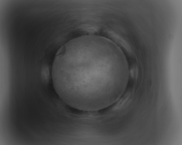 X0000101441347200807071354