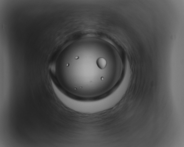 X0000101441348200807071354