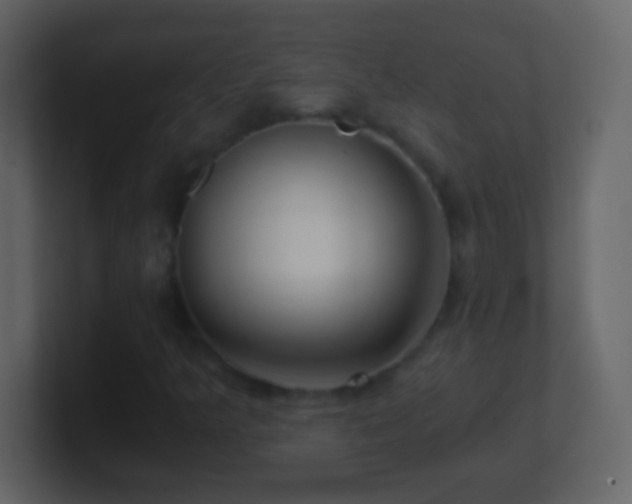X0000101441349200807071354