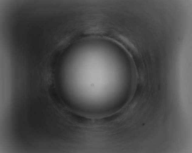 X0000101441350200807071354
