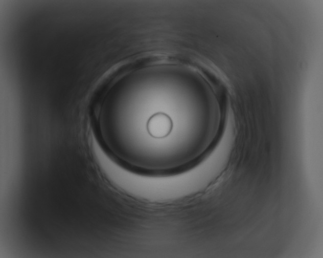 X0000101441352200807071354