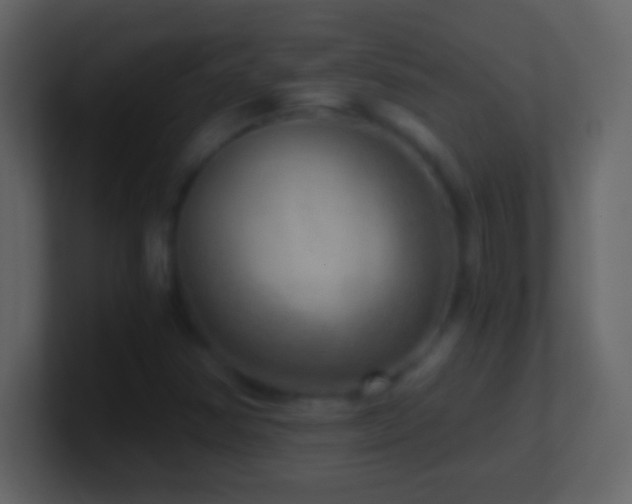 X0000101441354200807071354