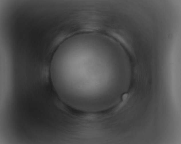 X0000101441355200807071354
