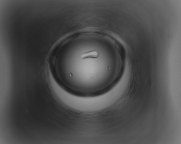 X0000101441356200807071354