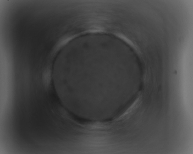 X0000101441359200807071354