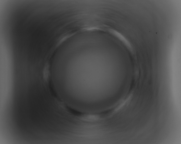 X0000101441361200807071354