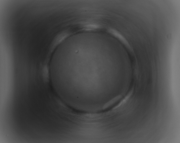 X0000101441362200807071354