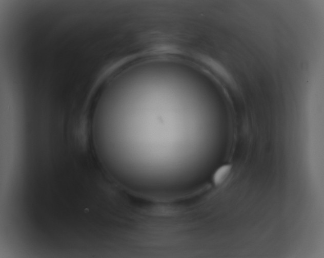 X0000101441364200807071354