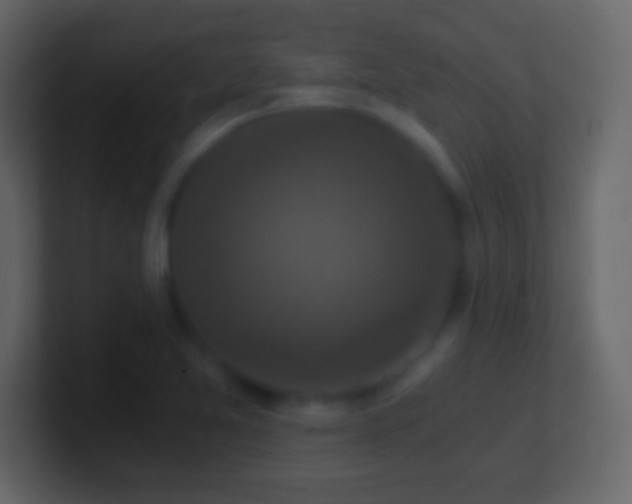 X0000101441365200807071354