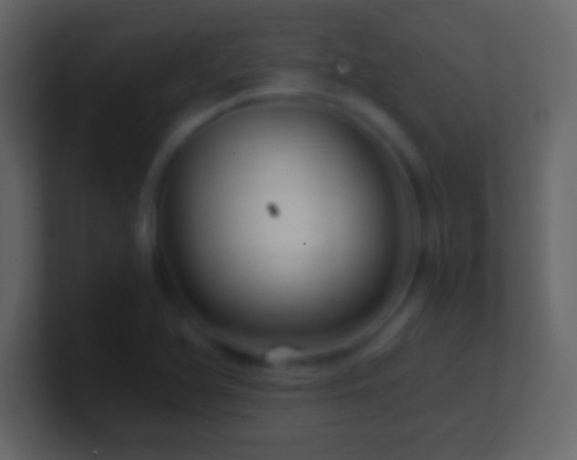 X0000101441366200807071354