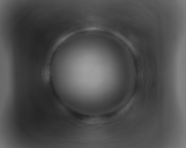 X0000101441367200807071354